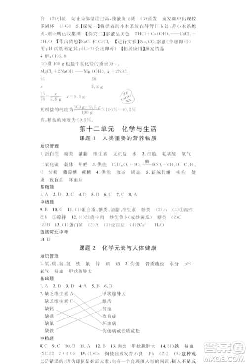 安徽师范大学出版社2022名校课堂背记手册九年级化学下册人教版河北专版参考答案 安徽师范大学出版社2022名校课堂背记手册九年级化学下册人教版河北专版参考答案