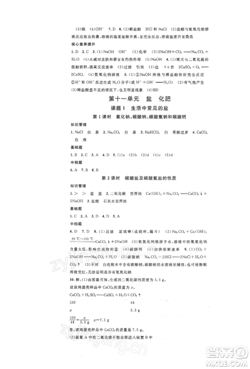 安徽师范大学出版社2022名校课堂背记手册九年级化学下册人教版安徽专版参考答案