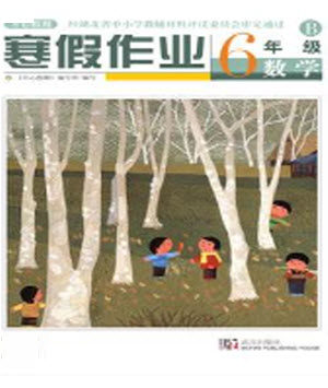 武汉出版社2022开心假期寒假作业六年级数学B版答案