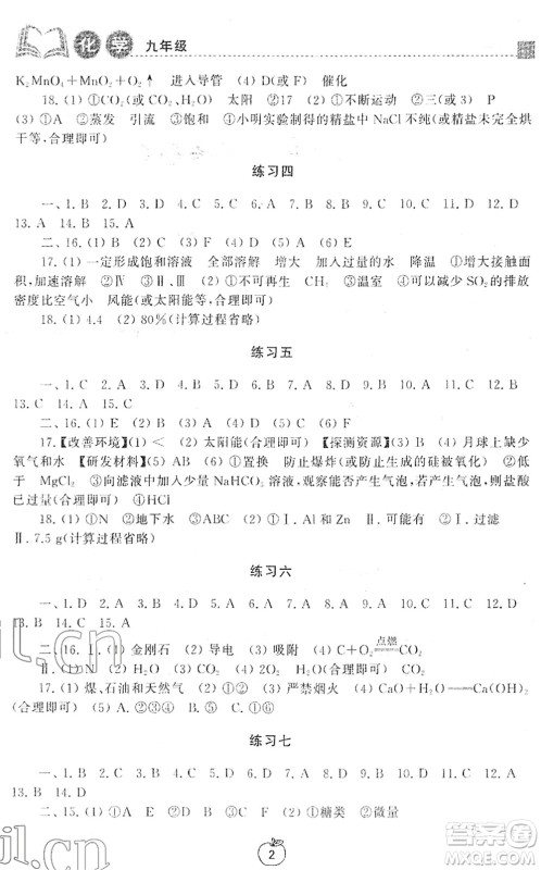 译林出版社2022寒假学习生活九年级化学提优版人教版答案