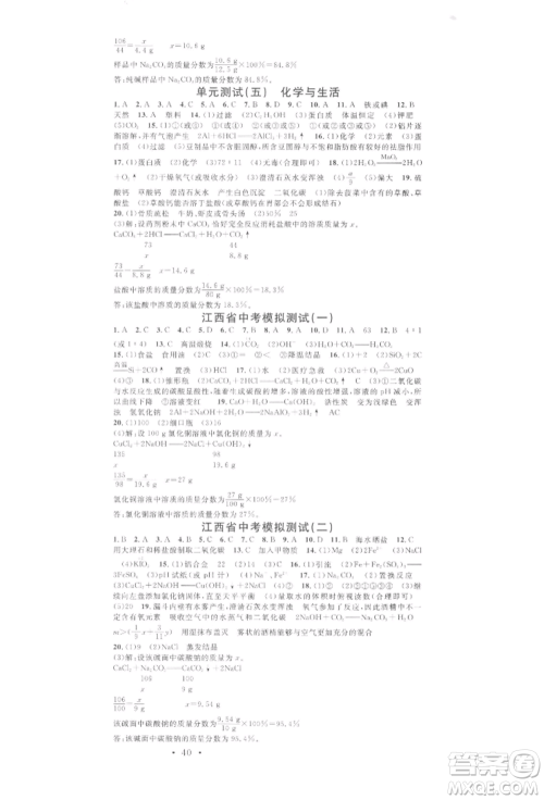 广东经济出版社2022名校课堂课堂笔记本九年级化学下册人教版江西专版参考答案