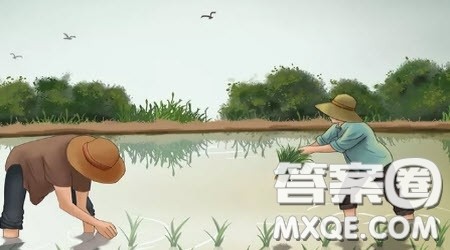 对扶贫的思考作文800字 关于对扶贫的思考的作文800字