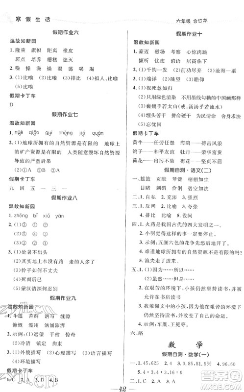 北京师范大学出版社2022寒假作业六年级合订本人教版答案