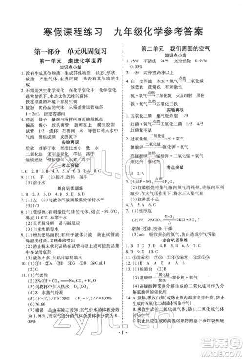 天津教育出版社2022寒假课程练习九年级化学人教版参考答案