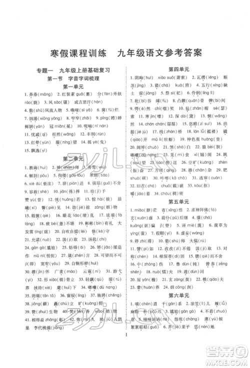 天津教育出版社2022寒假课程练习九年级语文人教版参考答案