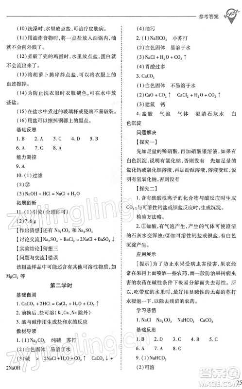 山西教育出版社2022新课程问题解决导学方案九年级化学下册人教版答案