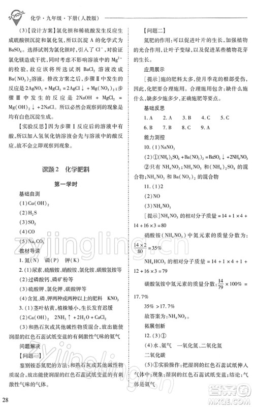 山西教育出版社2022新课程问题解决导学方案九年级化学下册人教版答案