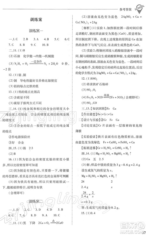 山西教育出版社2022新课程问题解决导学方案九年级化学下册人教版答案