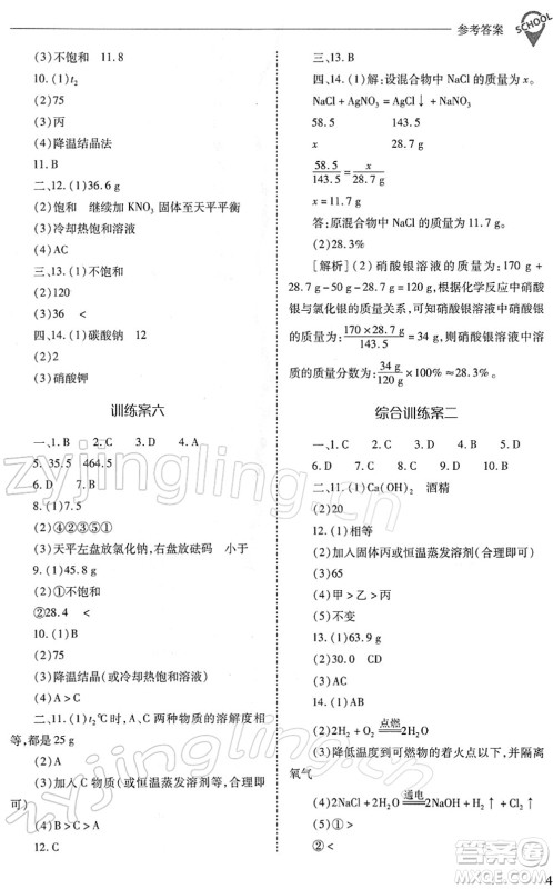 山西教育出版社2022新课程问题解决导学方案九年级化学下册人教版答案