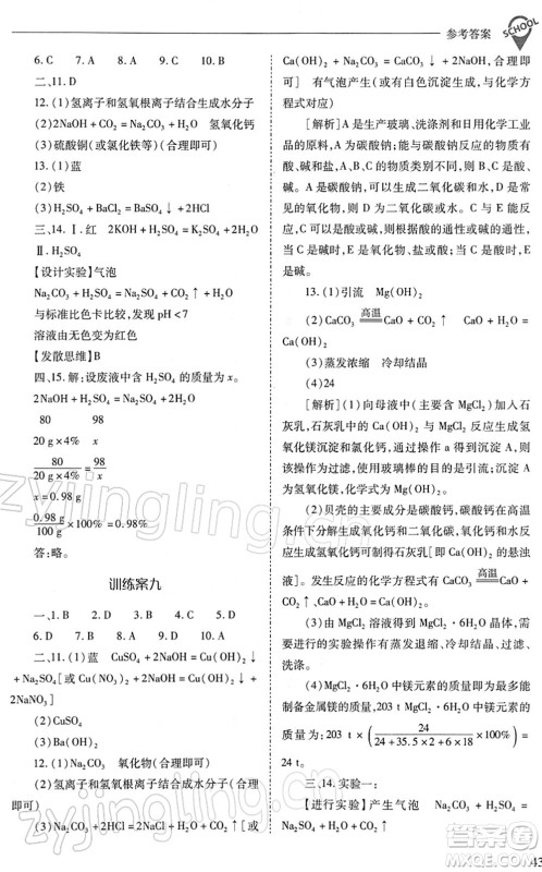 山西教育出版社2022新课程问题解决导学方案九年级化学下册人教版答案