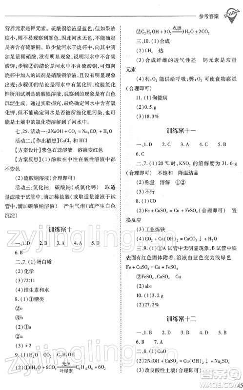山西教育出版社2022新课程问题解决导学方案九年级化学下册人教版答案