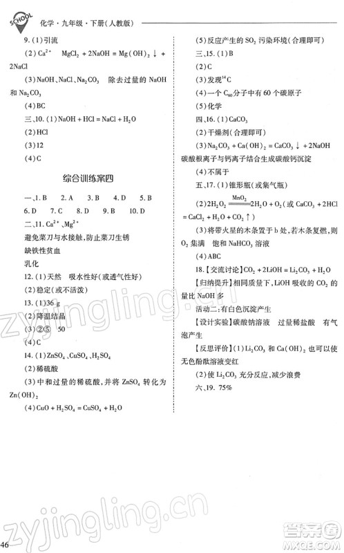 山西教育出版社2022新课程问题解决导学方案九年级化学下册人教版答案