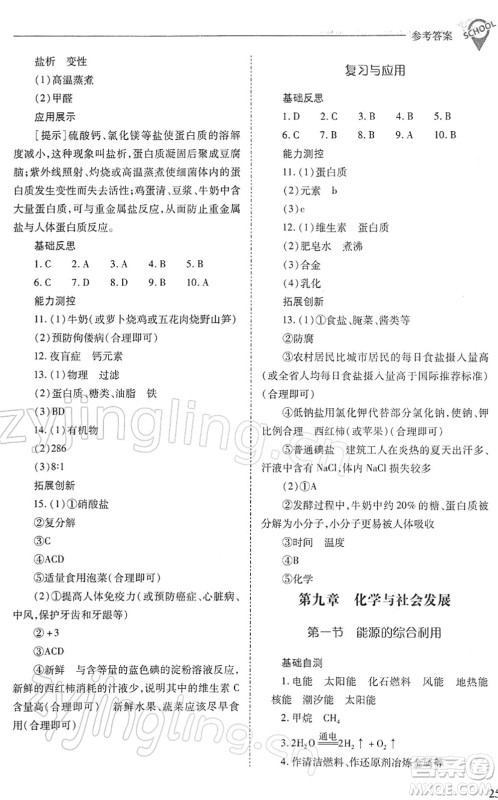 山西教育出版社2022新课程问题解决导学方案九年级化学下册沪教版答案