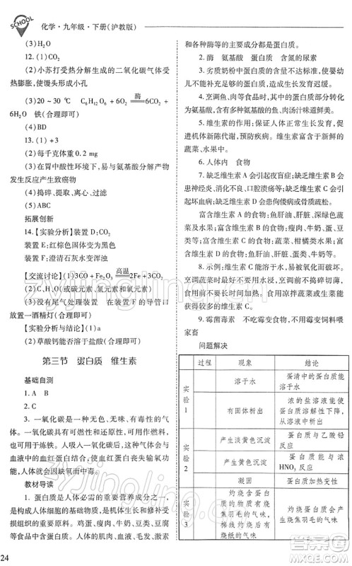 山西教育出版社2022新课程问题解决导学方案九年级化学下册沪教版答案