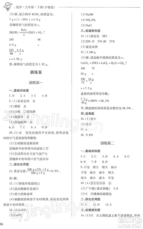 山西教育出版社2022新课程问题解决导学方案九年级化学下册沪教版答案