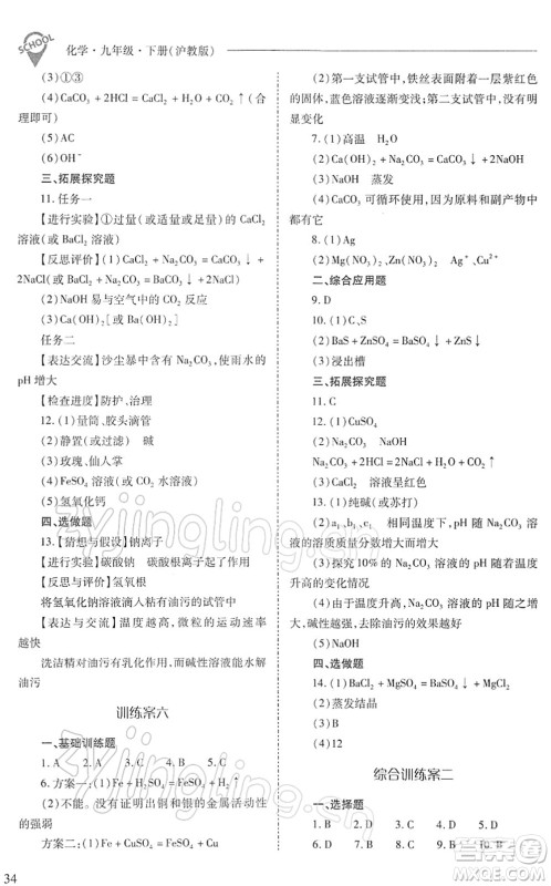 山西教育出版社2022新课程问题解决导学方案九年级化学下册沪教版答案