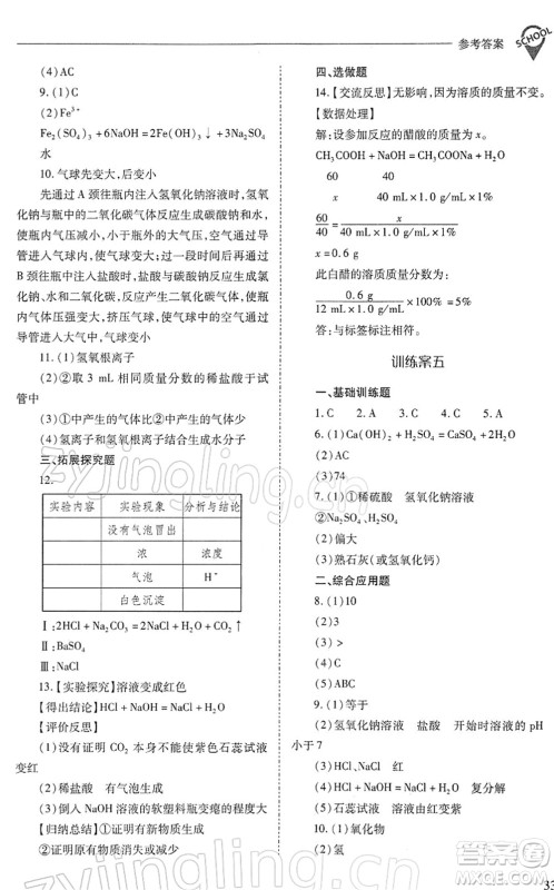 山西教育出版社2022新课程问题解决导学方案九年级化学下册沪教版答案