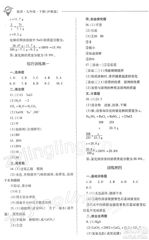 山西教育出版社2022新课程问题解决导学方案九年级化学下册沪教版答案