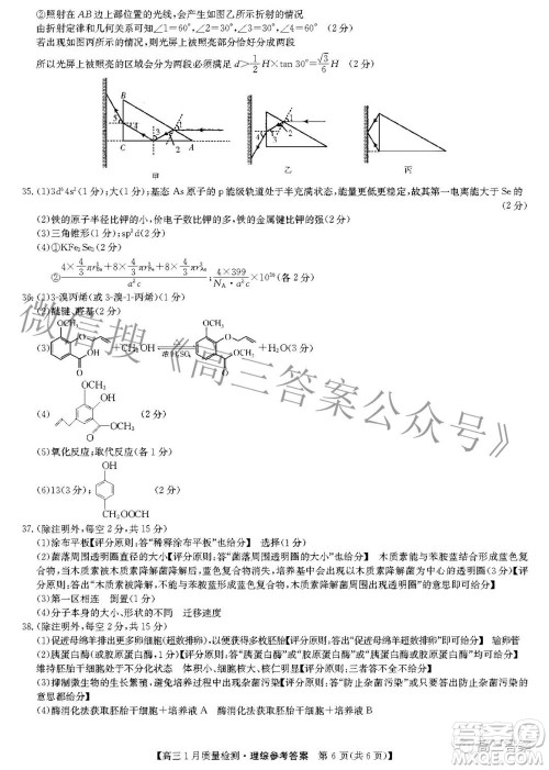 2022届九师联盟高三1月质量检测理科综合答案