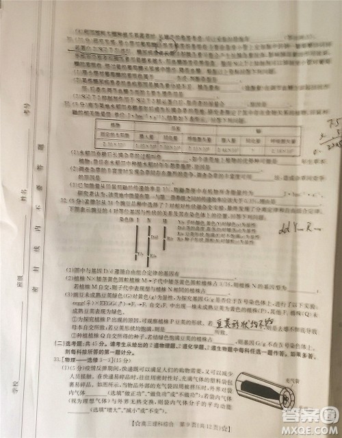 2022年1月贵州省高三考试理科综合试卷及答案