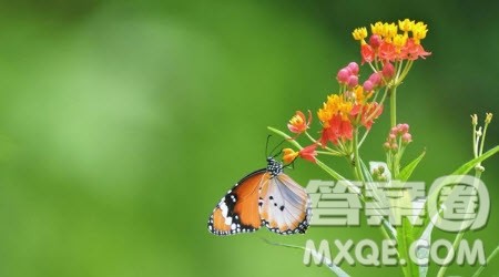 以那___的姿态为题作文600字 关于那___的姿态为题的作文600字 以那___的姿态为题作文600字 关于那___的姿态为题的作文600字