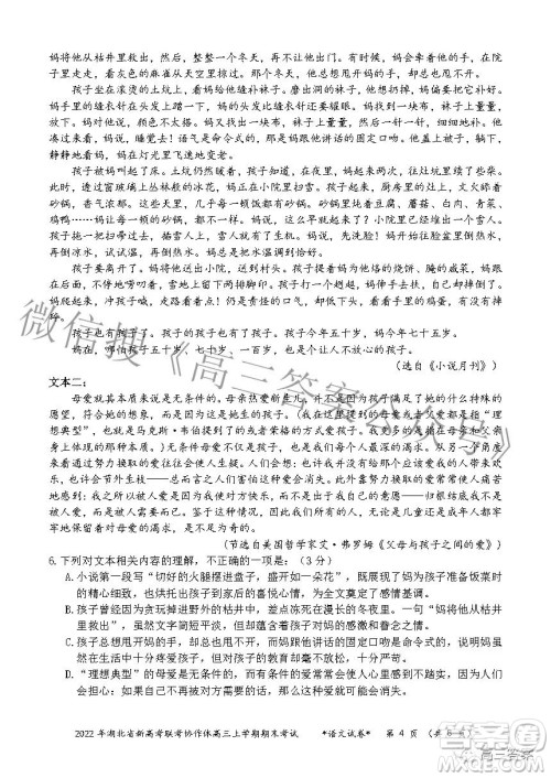 2022年湖北省新高考协作体高三上学期期末考试语文试卷及答案 2022年湖北省新高考协作体高三上学期期末考试语文试卷及答案