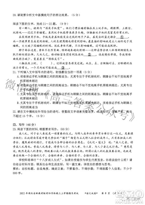 2022年湖北省新高考协作体高三上学期期末考试语文试卷及答案 2022年湖北省新高考协作体高三上学期期末考试语文试卷及答案