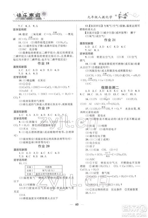 河北少年儿童出版社2022赢在起跑线中学生快乐寒假九年级化学人教版参考答案