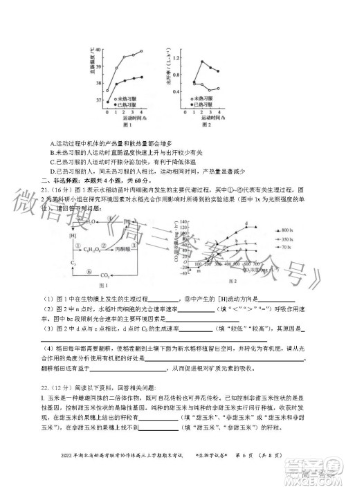 2022年湖北省新高考协作体高三上学期期末考试生物学试卷及答案 2022年湖北省新高考协作体高三上学期期末考试生物学试卷及答案