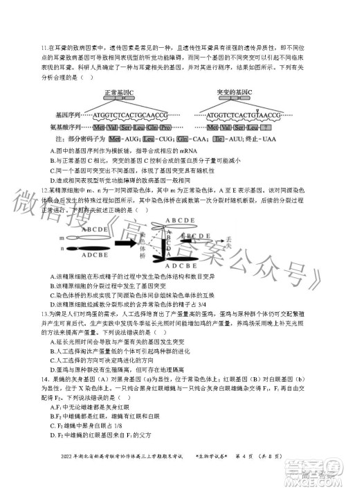 2022年湖北省新高考协作体高三上学期期末考试生物学试卷及答案 2022年湖北省新高考协作体高三上学期期末考试生物学试卷及答案