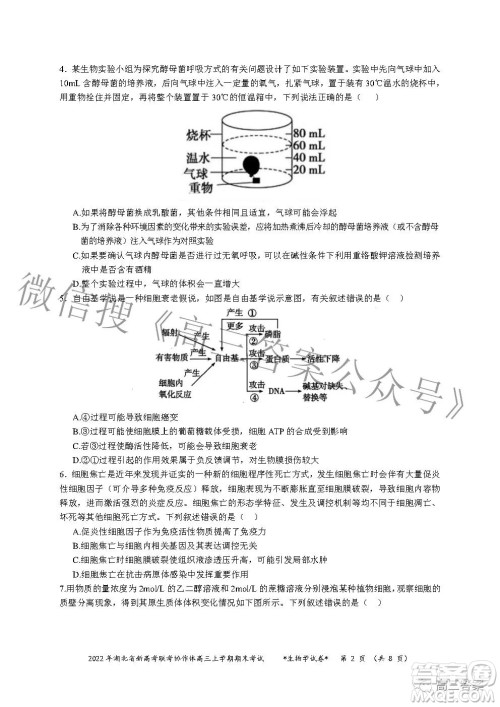 2022年湖北省新高考协作体高三上学期期末考试生物学试卷及答案 2022年湖北省新高考协作体高三上学期期末考试生物学试卷及答案