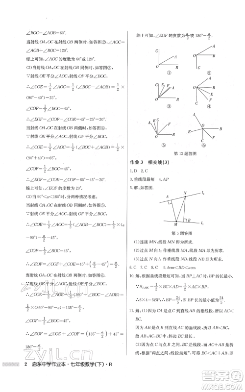 龙门书局2022启东中学作业本七年级数学下册人教版参考答案