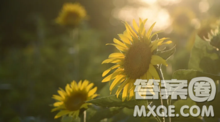 对芸芸众生的思考作文800字 关于对芸芸众生的思考的作文800字 对芸芸众生的思考作文800字 关于对芸芸众生的思考的作文800字