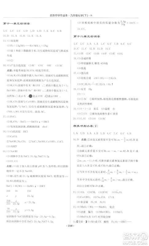 龙门书局2022启东中学作业本九年级化学下册人教版参考答案 龙门书局2022启东中学作业本九年级化学下册人教版参考答案