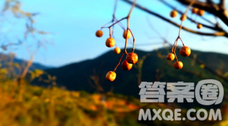 成长过程中我们需要些什么作文600字 关于成长过程中我们需要些什么的作文600字 成长过程中我们需要些什么作文600字 关于成长过程中我们需要些什么的作文600字