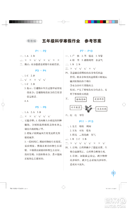 长江少年儿童出版社2022寒假作业五年级科学粤教版参考答案