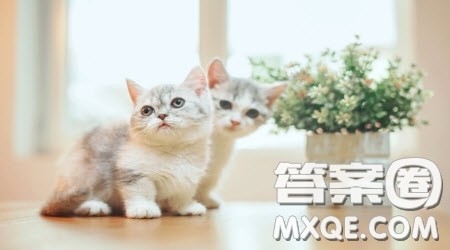 关于留念的话题作文600字 以留念为话题的作文600字 关于留念的话题作文600字 以留念为话题的作文600字