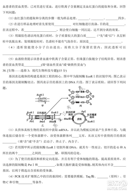 银川一中2022届高三年级第六次月考理科综合试卷及答案