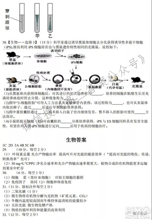 安徽省六校教育研究会2022届高三联考理科综合能力测试答案