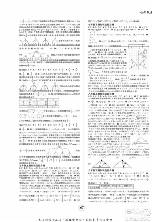 四川师范大学电子出版社2022快乐之星寒假篇九年级数学华师大版参考答案 四川师范大学电子出版社2022快乐之星寒假篇九年级数学华师大版参考答案