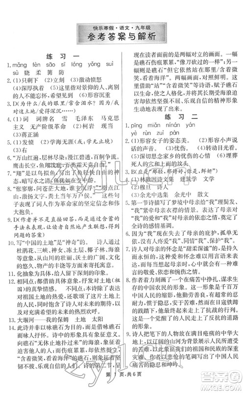江苏人民出版社2022快乐寒假九年级语文通用版答案