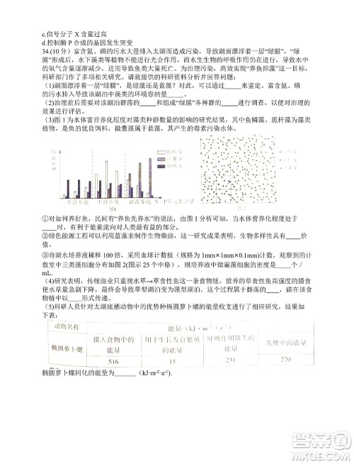 咸阳市2022年高考模拟检测一生物试题及答案