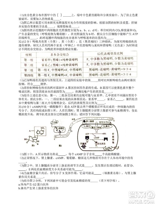 咸阳市2022年高考模拟检测一生物试题及答案