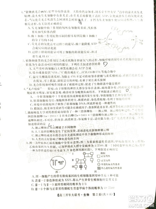 天壹名校联盟2022届高三开年大联考生物试题及答案 天壹名校联盟2022届高三开年大联考生物试题及答案
