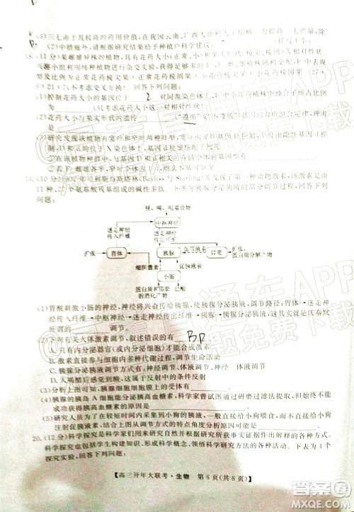 天壹名校联盟2022届高三开年大联考生物试题及答案