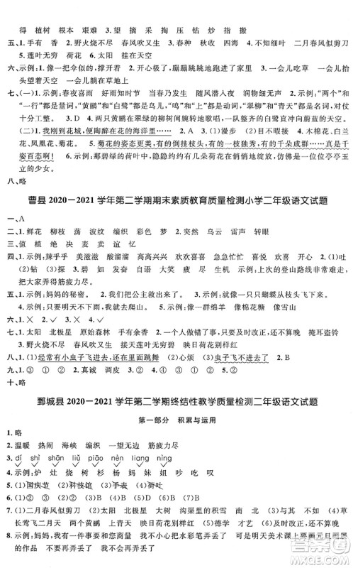 江西教育出版社2022阳光同学课时优化作业二年级语文下册RJ人教版菏泽专版答案