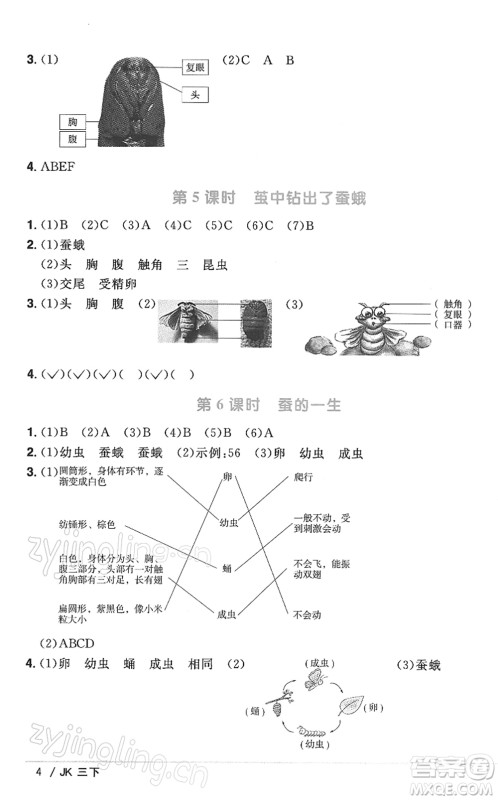 江西教育出版社2022阳光同学课时优化作业三年级科学下册JK教科版答案