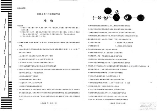 濮阳2022届高三年级摸底考试生物试题及答案