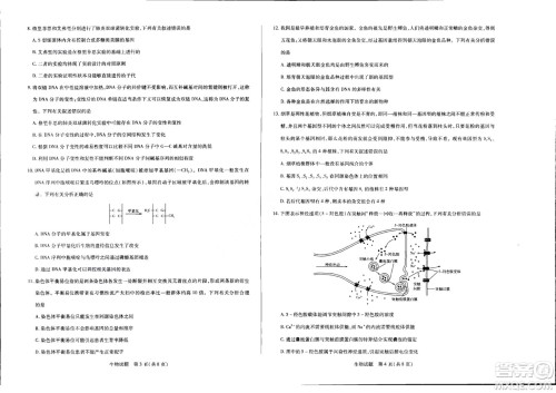 濮阳2022届高三年级摸底考试生物试题及答案