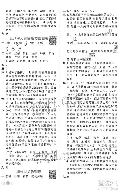 江西教育出版社2022阳光同学课时优化作业四年级语文下册RJ人教版答案 江西教育出版社2022阳光同学课时优化作业四年级语文下册RJ人教版答案